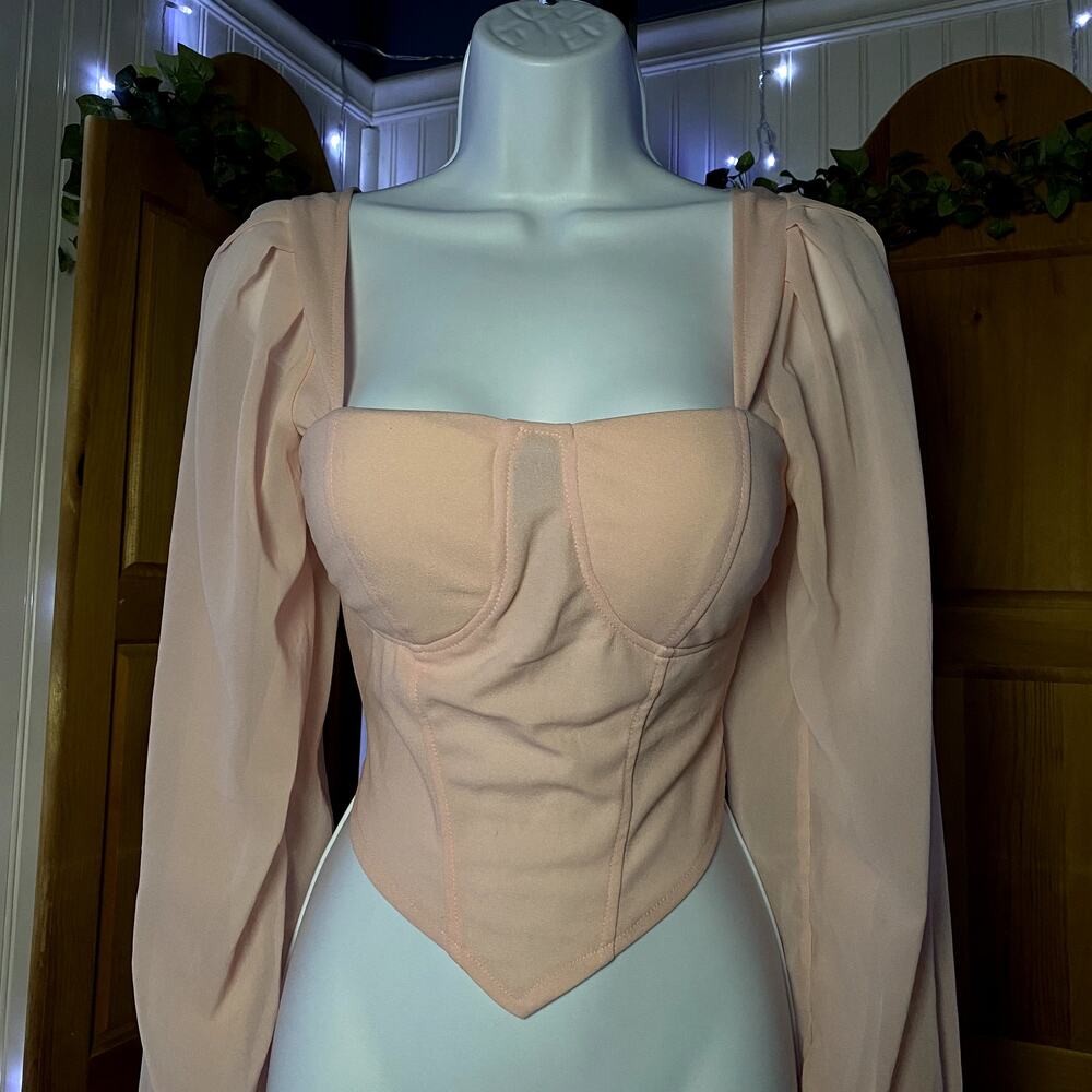 Soft Coquette Corset Style Top with Sheer Balloon Statement Sleeves